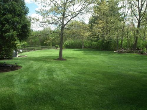 4102 Carlisle Dr, Bull Valley IL  60012-2141 exterior