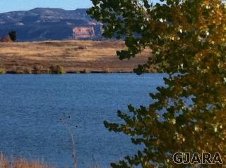 1321 Gold Lake Dr, Loma, CO 81524-7701