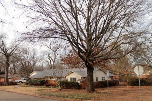2104 3rd Ave, Stillwater, OK 74074-2805