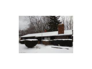 6141 Thistlewood Dr, Concord Township, OH 44060-3330