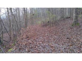 1234 Orchard Rd, Big Canoe GA  30143-2658 exterior