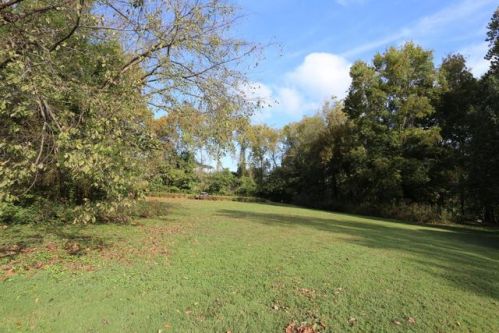 173 Sherwood Dr, Branson, MO 65616-3413