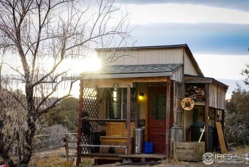 6492 County Rd 80c, Red Feather Lakes CO 80536-9201 exterior