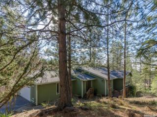 2350 Big Canyon Creek Rd, Swansboro Country, CA 95667-4804