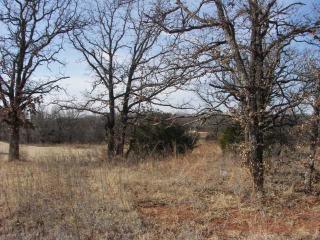 1320 Southern Shores Dr, Norman, OK 73026-8317