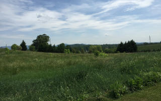 3 Ridgemont Dr, Ellijay, GA 30536-0069