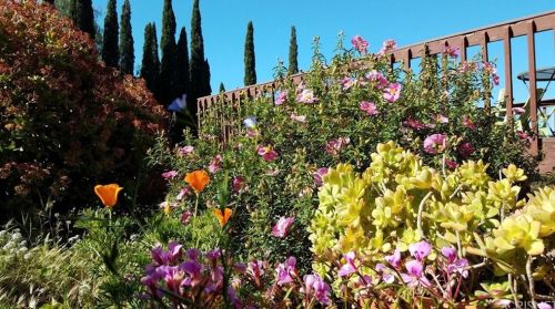 1319 Gonzales Rd, Simi Valley CA exterior