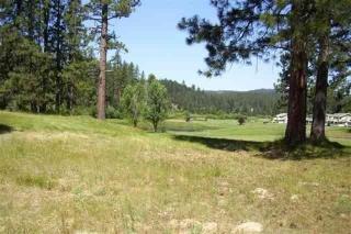 25 Cedar Ln, Cromberg, CA 96103-9709