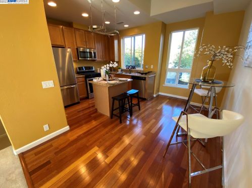 207 San Antonio Pl, San Jose, CA 95116-4009