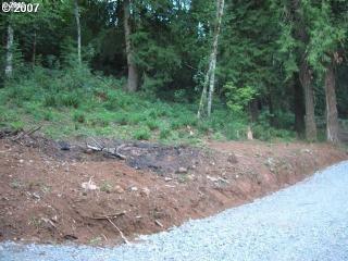 28247 Moonridge Rd, Colton, OR 97017-9507