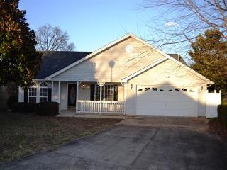 302 Goldsturm Ln, Greer SC  29650-1063 exterior