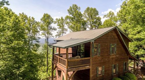 1491 Walnut Ridge Ter, Ellijay, GA 30536-8794