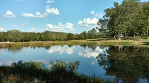 11491 Highway, Arcadia, MO 63621-8880