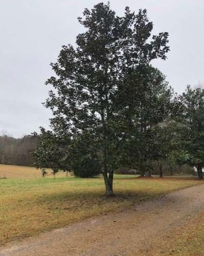 255 Gilbert Rd, Jefferson GA  30549-2402 exterior