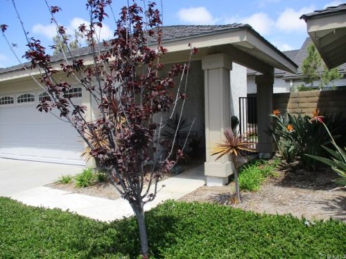 32073 Via Tonada, San Juan Capistrano, CA 92675-3612