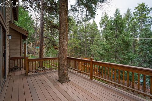 2730 Sunnywood Ave, Woodland Park CO  80863-9401 exterior