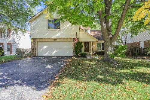109 Horatio Blvd, Buffalo Grove, IL 60089-1839