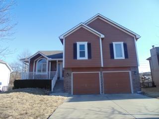 313 Dreamweaver Ave, Lees Summit MO  64086-8445 exterior
