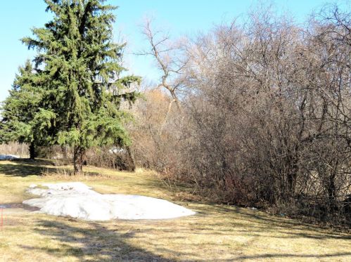 5978 Fernwood St, Saint Paul MN  55126-8462 exterior