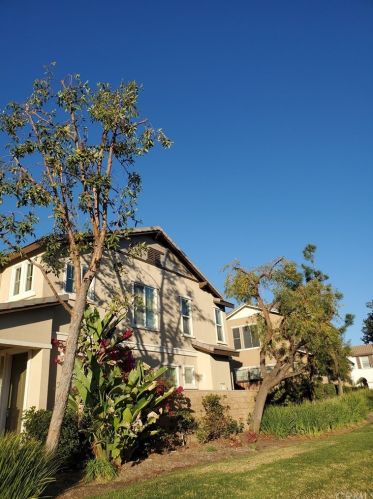 4525 Star Pass Rd, Riverside, CA 92507-7811