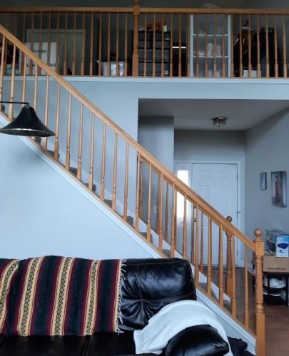 1 Lily Ct, Lemont IL  60440-3263 exterior