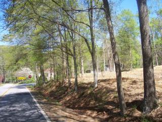 225 Calhoun Dr, Athens, GA 30601-1507