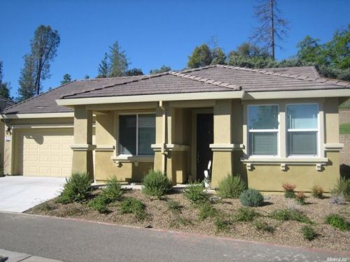 3423 Eskaton Dr, Swansboro Country, CA 95667-6466