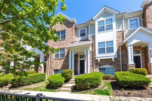 8607 Waukegan Rd, Morton Grove, IL 60053-2200