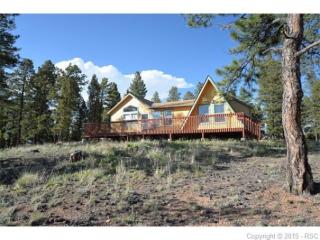 222 Tidi Rd, Twin Rock, CO 80816-9259