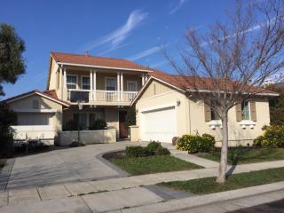 113 Alexandria Dr, Tracy, CA 95391-1075
