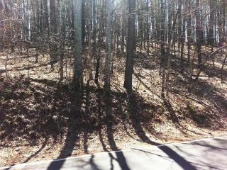 31 Gulf Stream Ln, Salem, SC 29676-4009