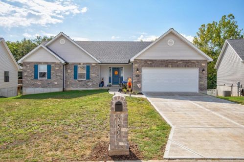 250 Longleaf Pine Dr, Festus, MO 63028-6204