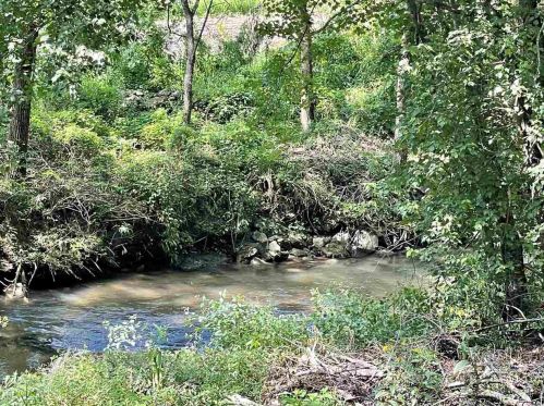 357 Little River Ln, Rabun Gap, GA 30568-2412