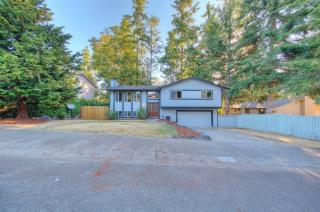 17654 156th Ave, Seattle, WA 98058-9011