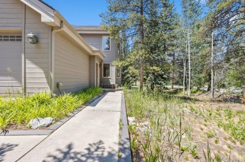 21 Saw Whiskers Cir, Montezuma CO  80435-7903 exterior