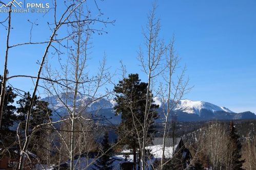 310 Panther Ct, Woodland Park CO exterior