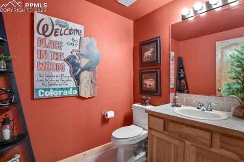 133 Elk Grove Ln, Woodland Park CO 80863-9171 exterior