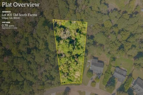 031 Tilly Farm Rd, Ellijay, GA 30540-7531