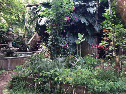 58-260 Kamehameha Hwy, Haleiwa, HI 96712-8749