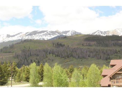 61 Dewey Placer Dr, Breckenridge, CO 80424