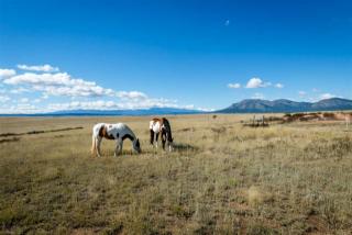 27 Cross Ranch Rd, Stanley, NM 87056-9765