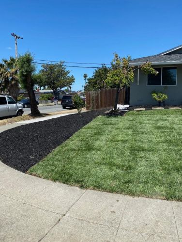 3275 Mount Logan Dr, San Jose, CA 95127-4825