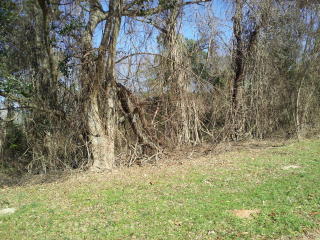 7125 Old Winfield Rd, Harlem, GA 30802-2515