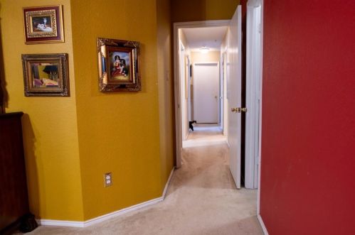 4256 Gray Fox Dr, Fort Worth TX  76123-2544 exterior