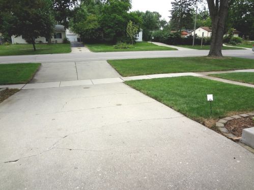 338 Raupp Blvd, Buffalo Grove IL  60089-2145 exterior