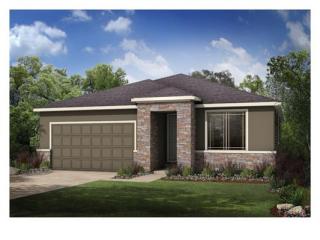 9139 Flora St, Arvada CO  80005-1420 exterior