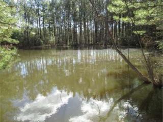 6029 Hancock Rd, White Cap, MS 39638-6134