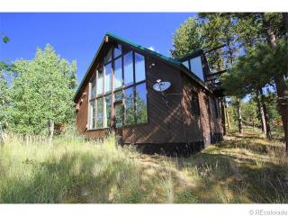 60 Shelton Dr, Bailey, CO 80421-1320