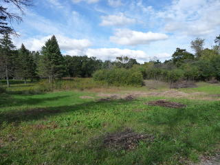 1250 Woodfield Ln, Green Oaks, IL
