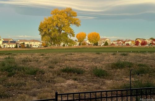 5175 Netherland St, Denver CO  80249-8240 exterior